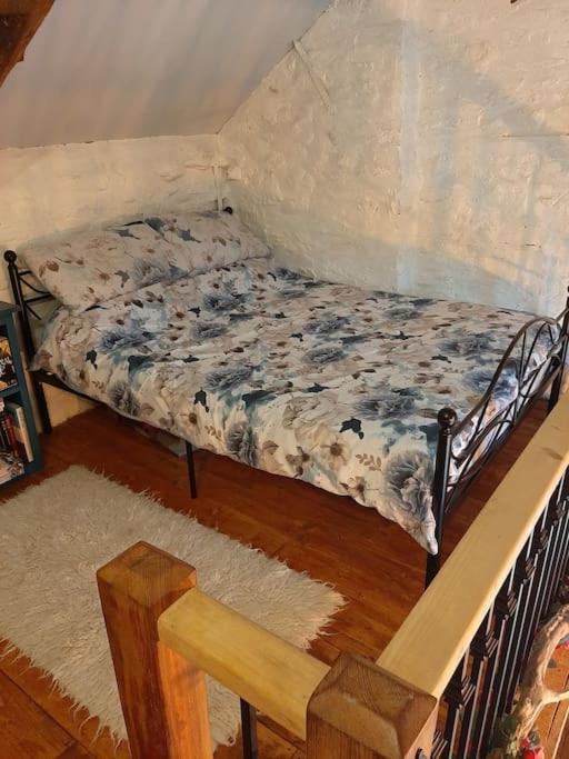 Y Smithy Apartment Llanybyther Екстериор снимка