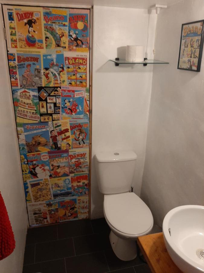 Y Smithy Apartment Llanybyther Екстериор снимка
